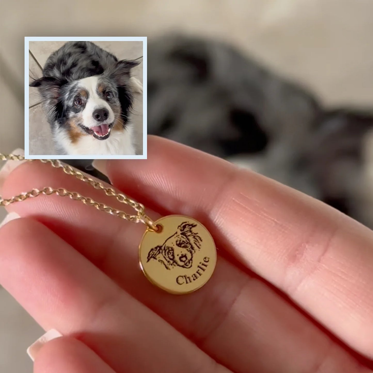 EverPaw™ Forever Necklace